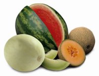 La frutta si conosce mangiandola: il melone e il cocomero