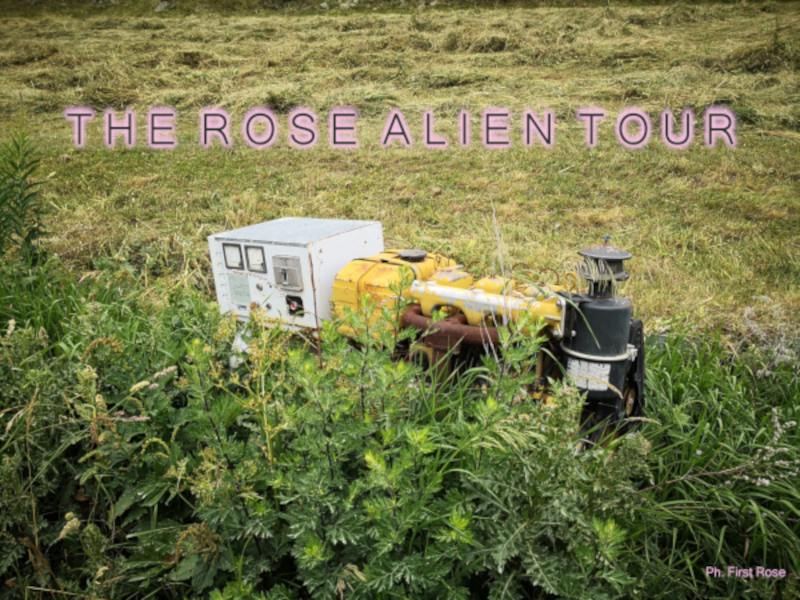 Sabato 1 ottobre il progetto The Rose Alien Tour al parco di Villa Smeraldi