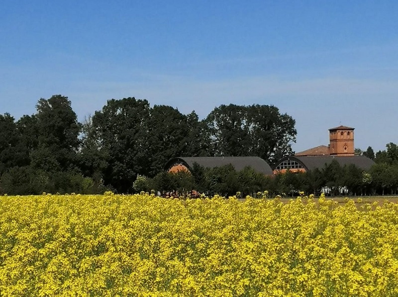 Il Museo ha riaperto al pubblico!