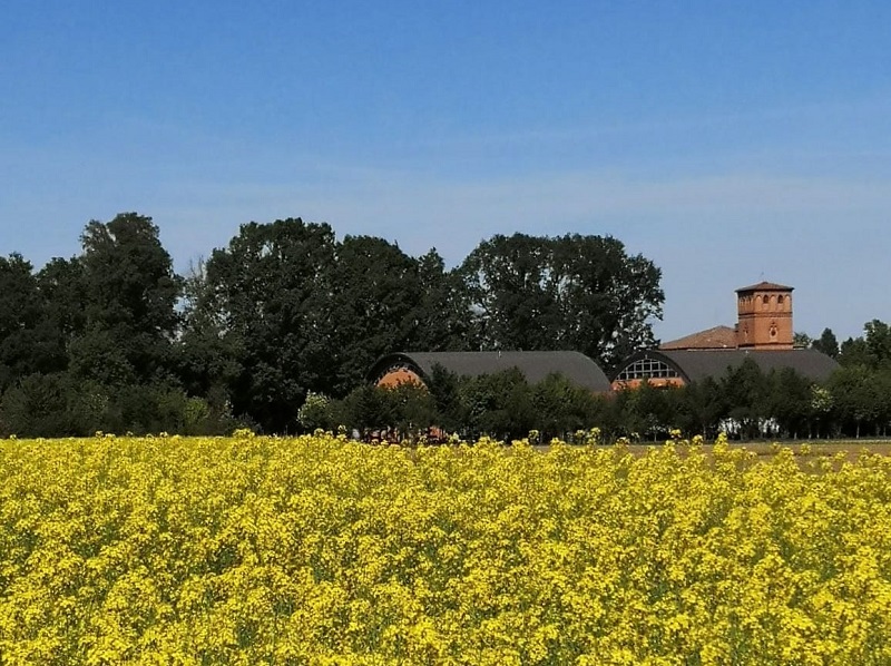 Il Museo ha riaperto al pubblico!