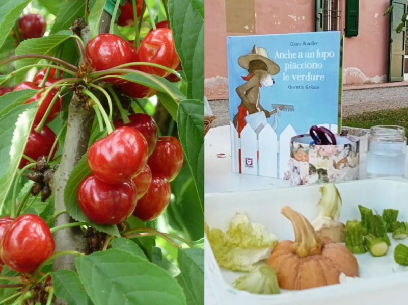 Il Museo partecipa al cartellone "Diritto al ciBO - Aggiungi un posto a tavola"