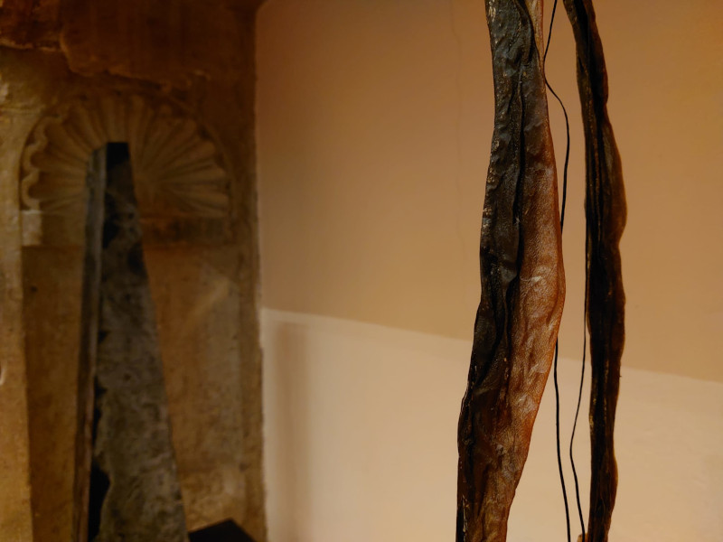 "Senza Titolo. Grasso di anguilla" a Palazzo Malvezzi per Art City