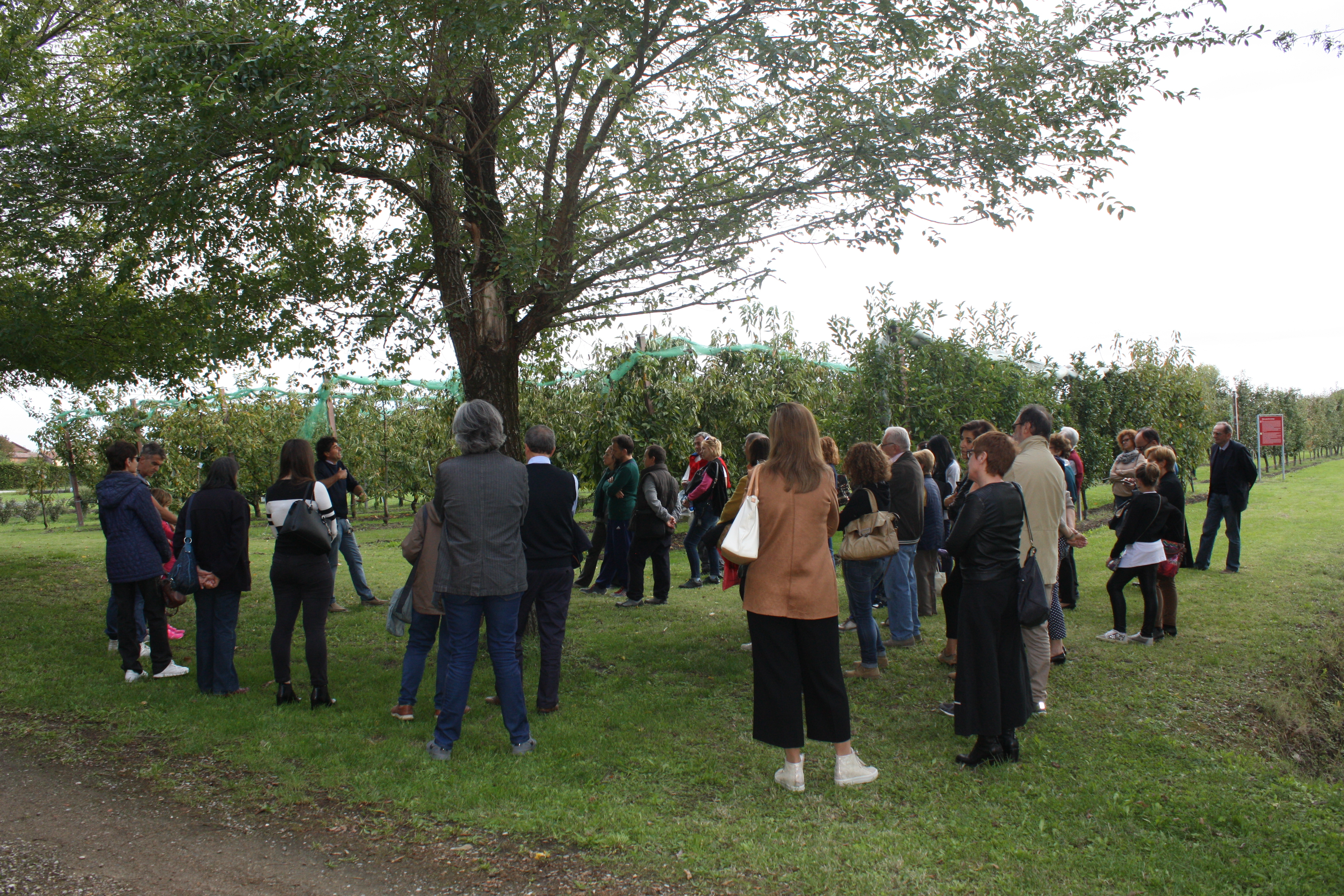 Visita al parco storico a cura delle Guardie Ecologiche Volontarie