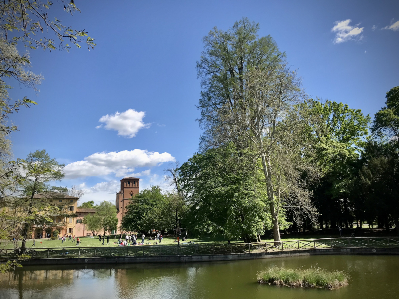 Il cipresso calvo del Museo è albero monumentale d'Italia!