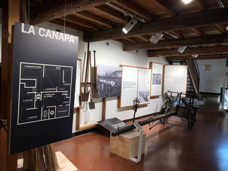 Visite guidate della domenica pomeriggio "Un assaggio di Museo"