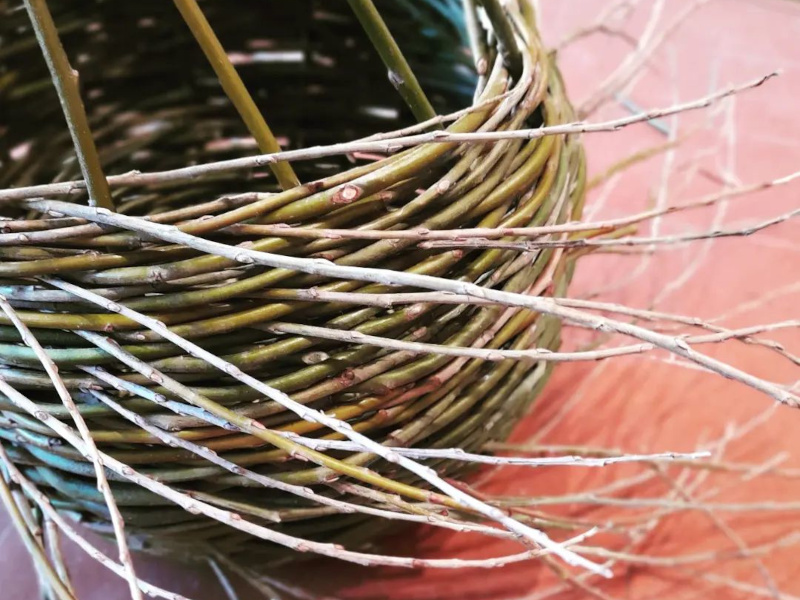 Corso di Cesteria Con Paolo Mazzetti