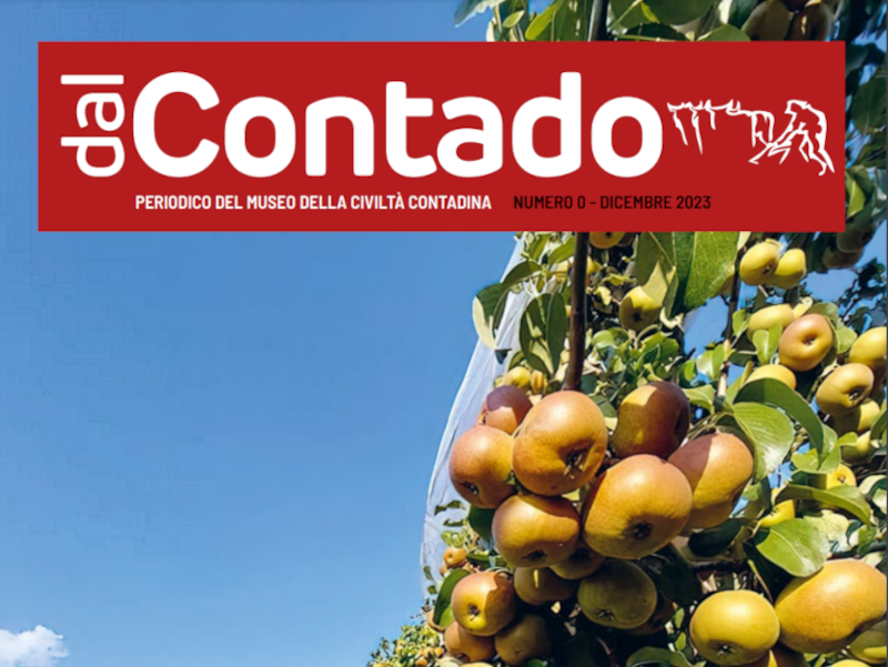 È online "Dal Contado", il nuovo periodico del Museo della Civiltà Contadina