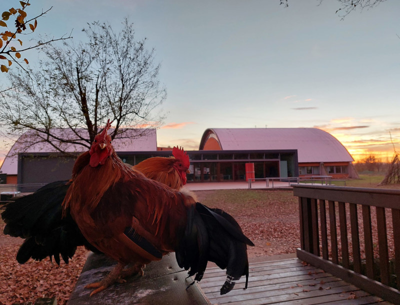 Chiusura invernale del Museo