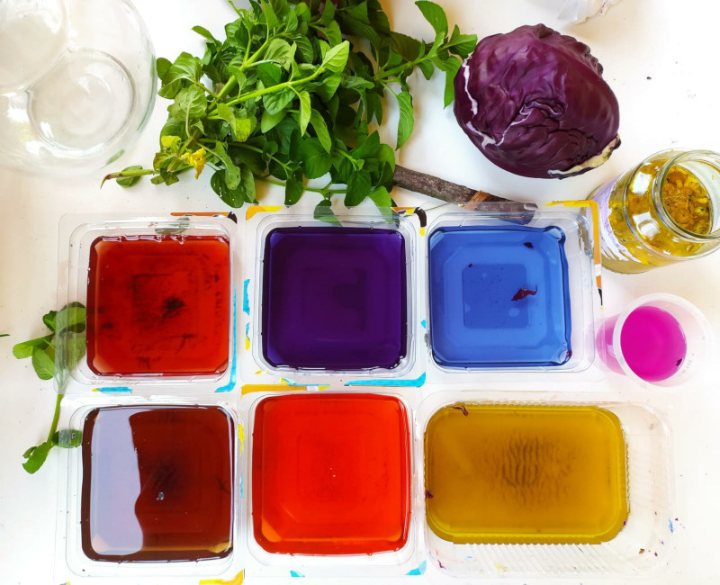 Workshop di inchiostri e colori dalla natura