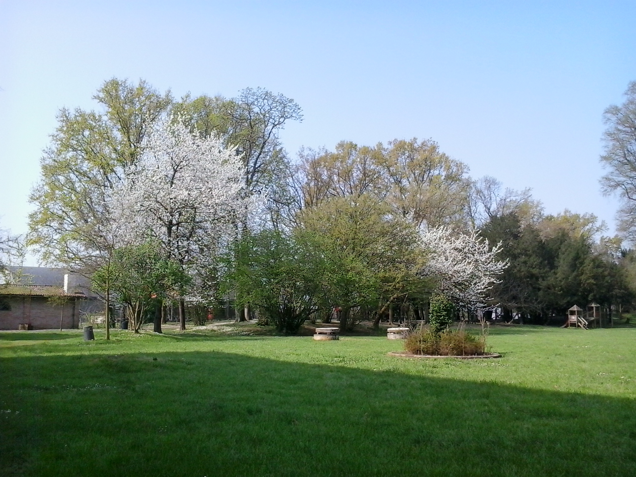il parco in primavera