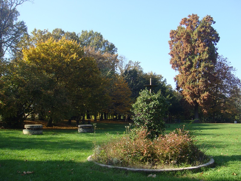 Domenica 1 dicembre al Museo 'La vita degli alberi'