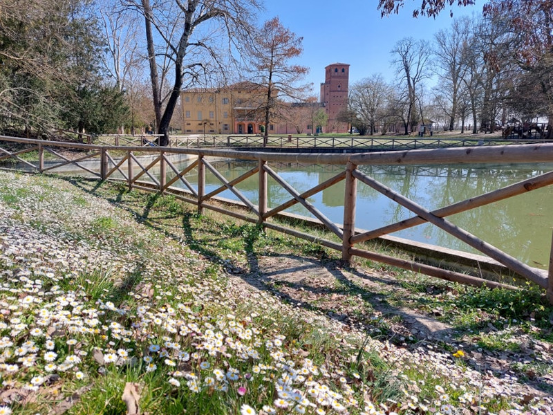 Aperture straordinarie del Museo in primavera