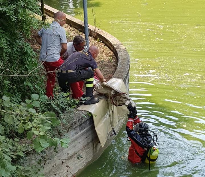 Recuperata la statua del ponte, spinta nel laghetto da ignoti