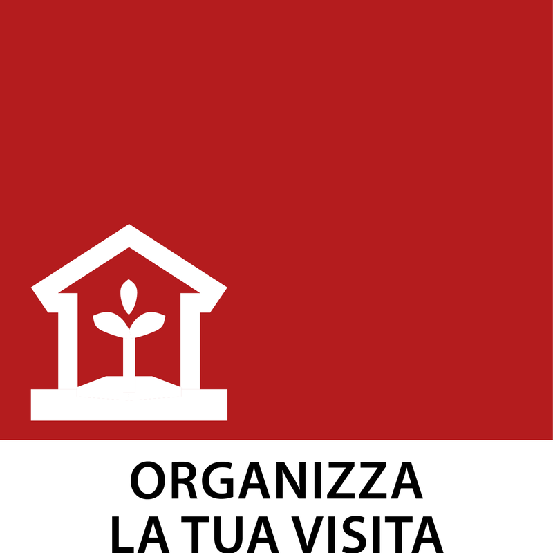 ORGANIZZA  LA TUA VISITA