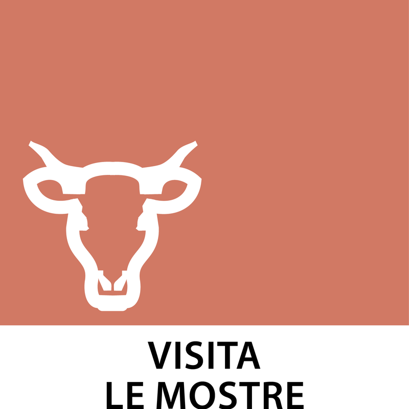 VISITA LE MOSTRE