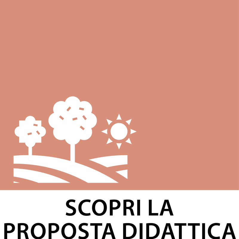 SCOPRI LA PROPOSTA DIDATTICA