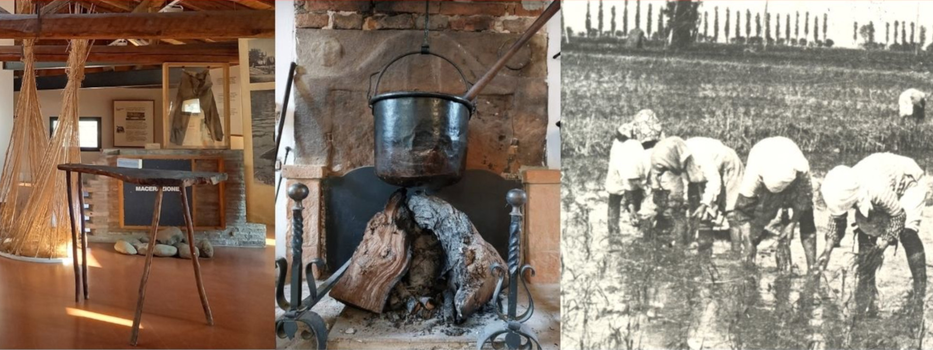 Immagine dell'iniziativa 'Assaggio di Museo'