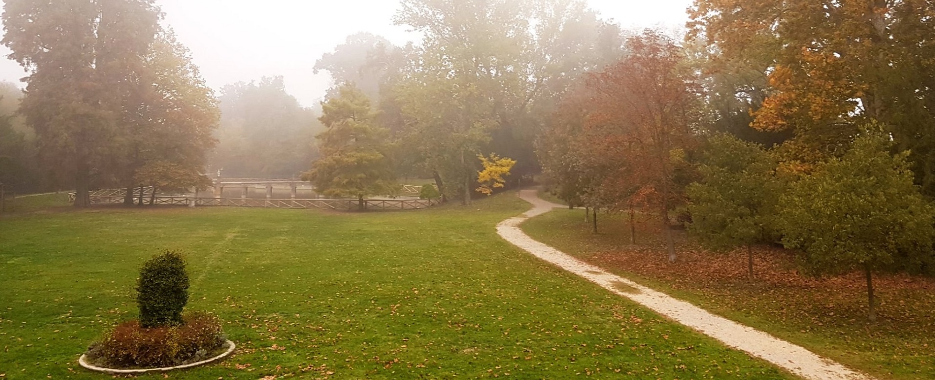 Immagine autunnale del parco