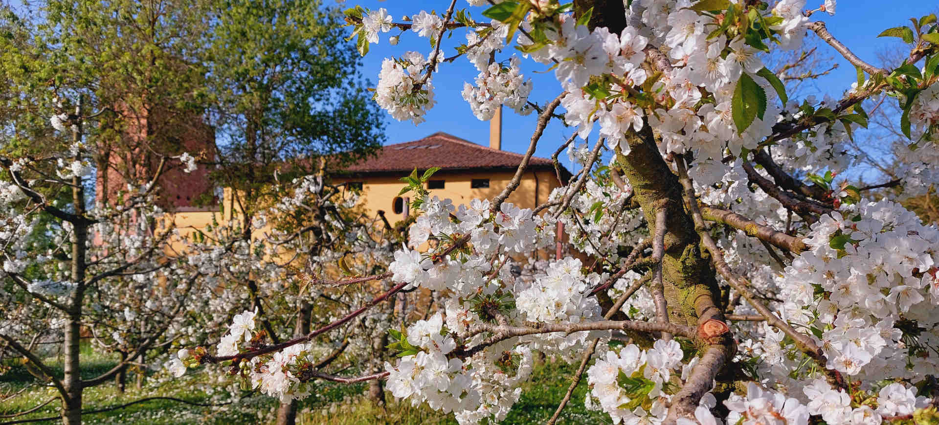 Immagine primaverile di Villa Smeraldi