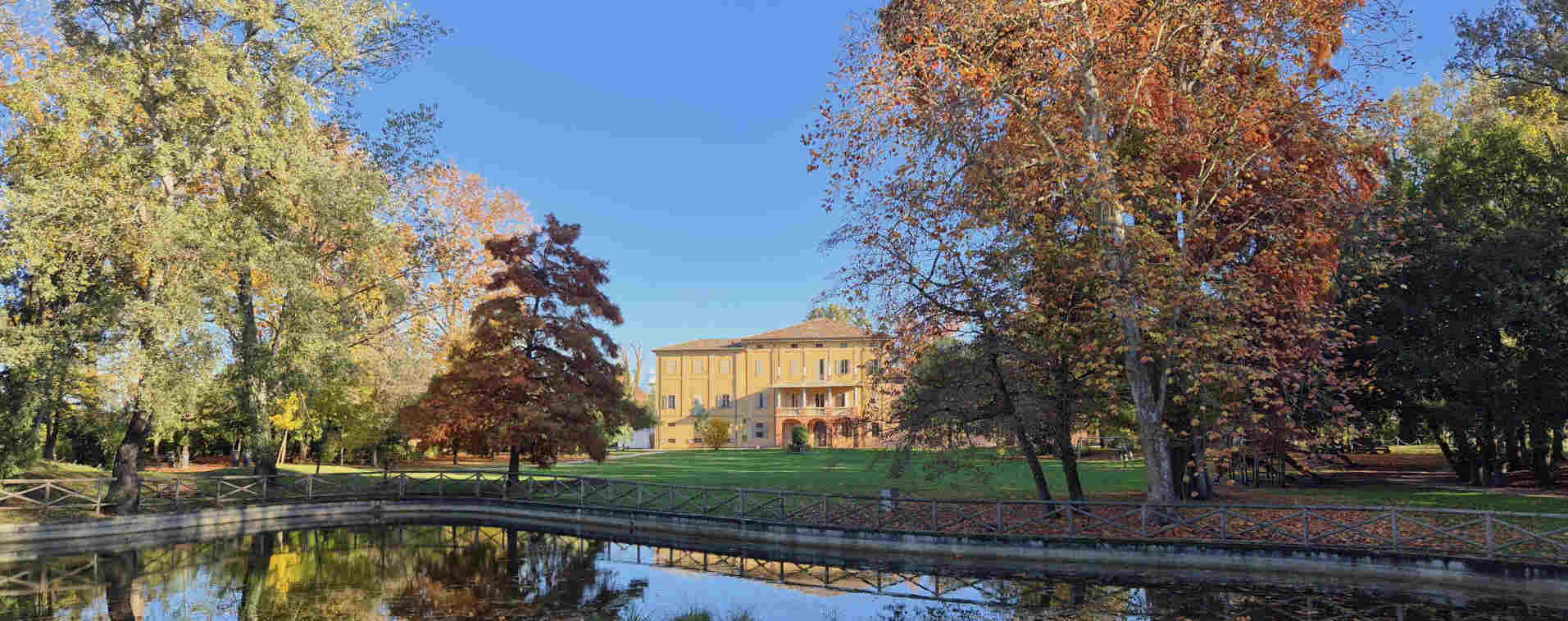 Immagine cipresso calvo Villa Smeraldi 