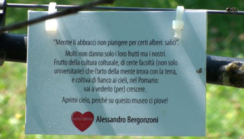 #ILOVEPOMARIO dedica di Alessandro Bergonzoni 