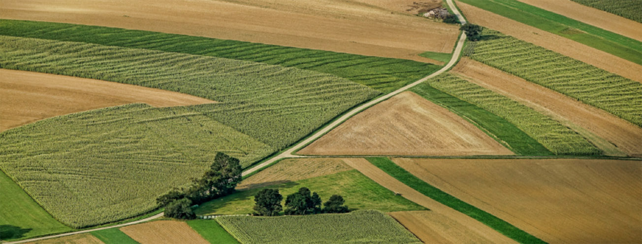 Paesaggio