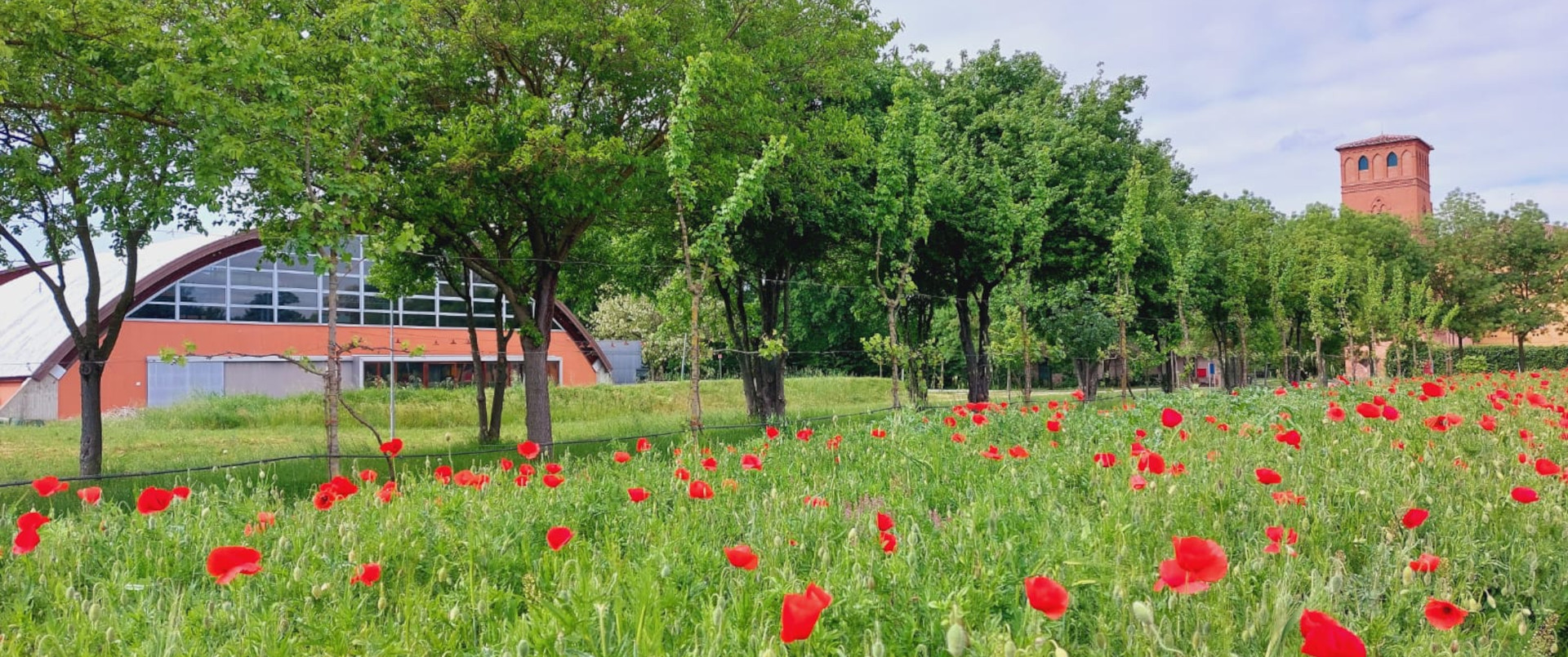 Immagine di Villa Smeraldi