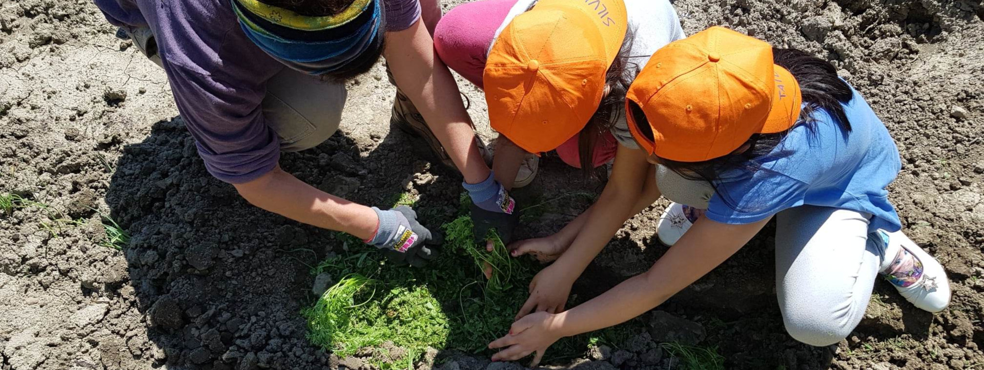 IMMAGINE DI NATURA E BAMBINI