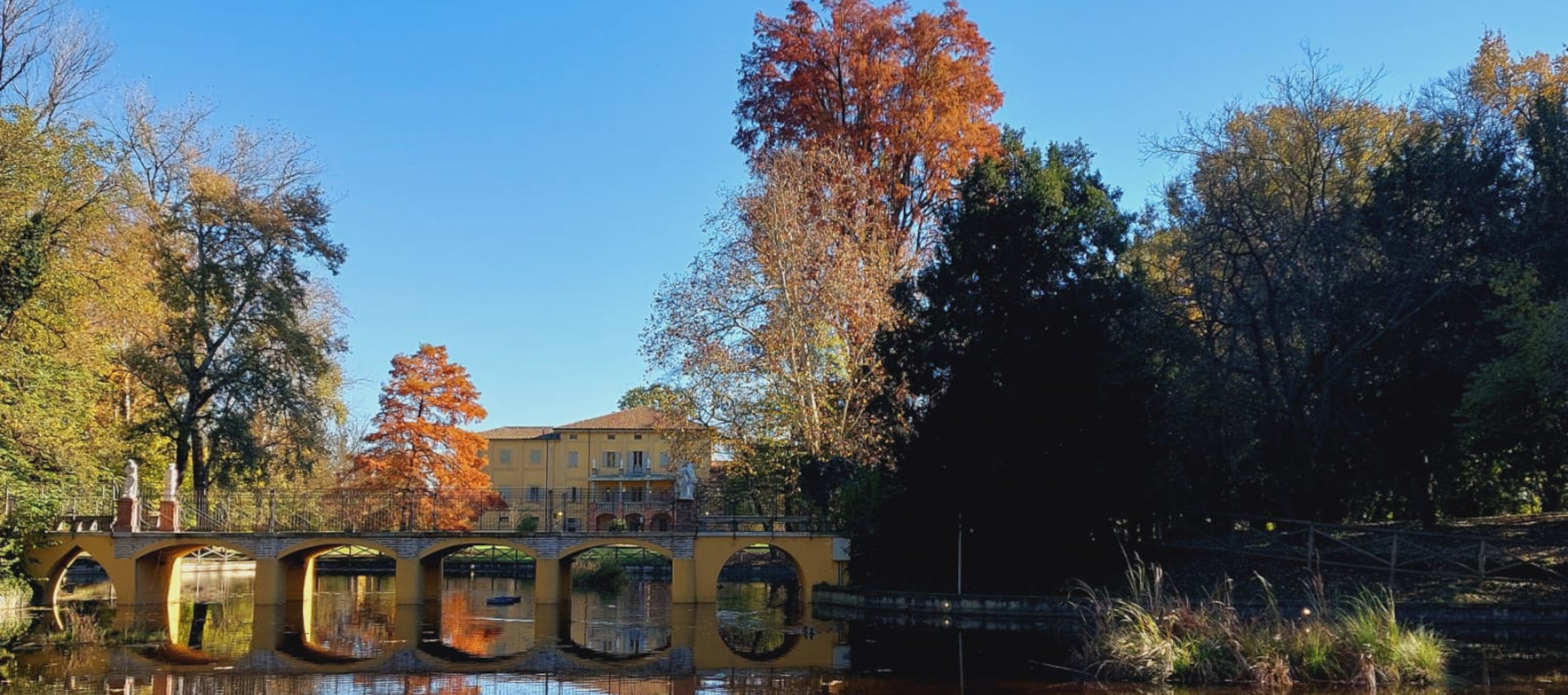 Immagine di Foliage del parco di Villa Smeraldi